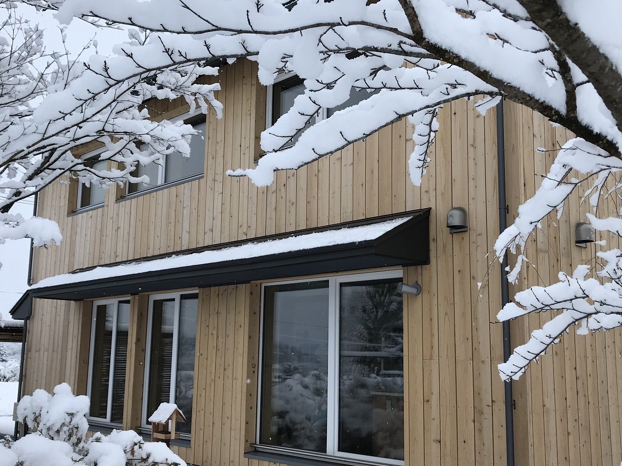 冬景色 ─ 雪に包まれた地杉ファサード